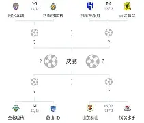 多米全站APP-阿尔艾因迎战维达德