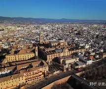 布鲁克林科尔姆托宾